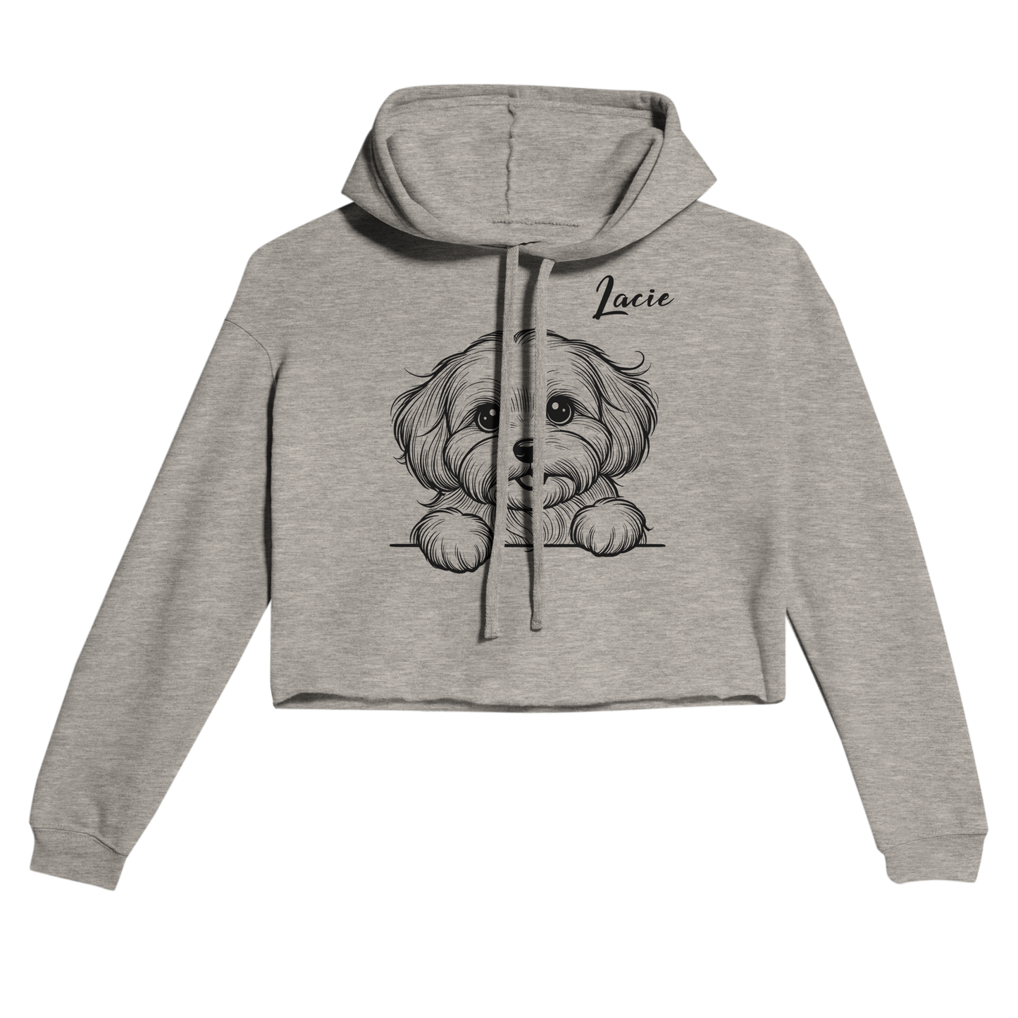 45c740d8-043c-4fa5-88ad-8edac8ffe341