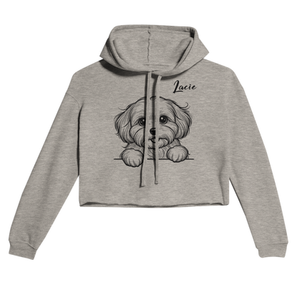 45c740d8-043c-4fa5-88ad-8edac8ffe341