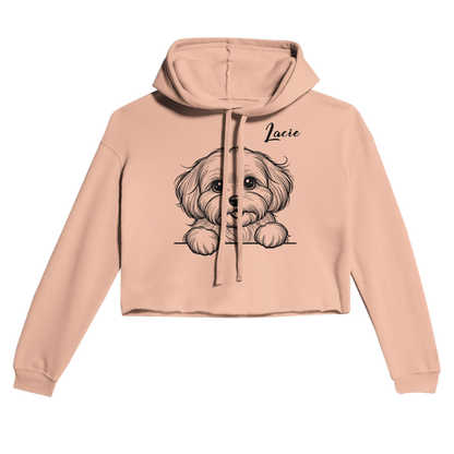 49cfdb54-dede-44a4-a623-900e729870f4