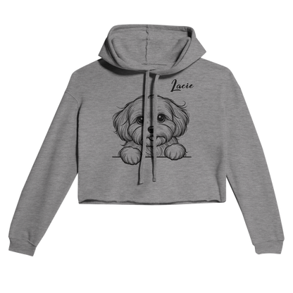 7a214fef-889c-4427-ab47-c10ee9fbb4c9