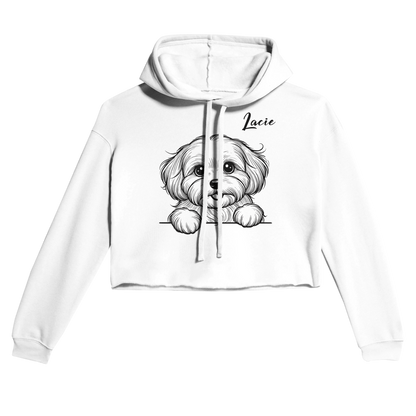 9e5508a6-a484-48fe-865e-44d920a1c262