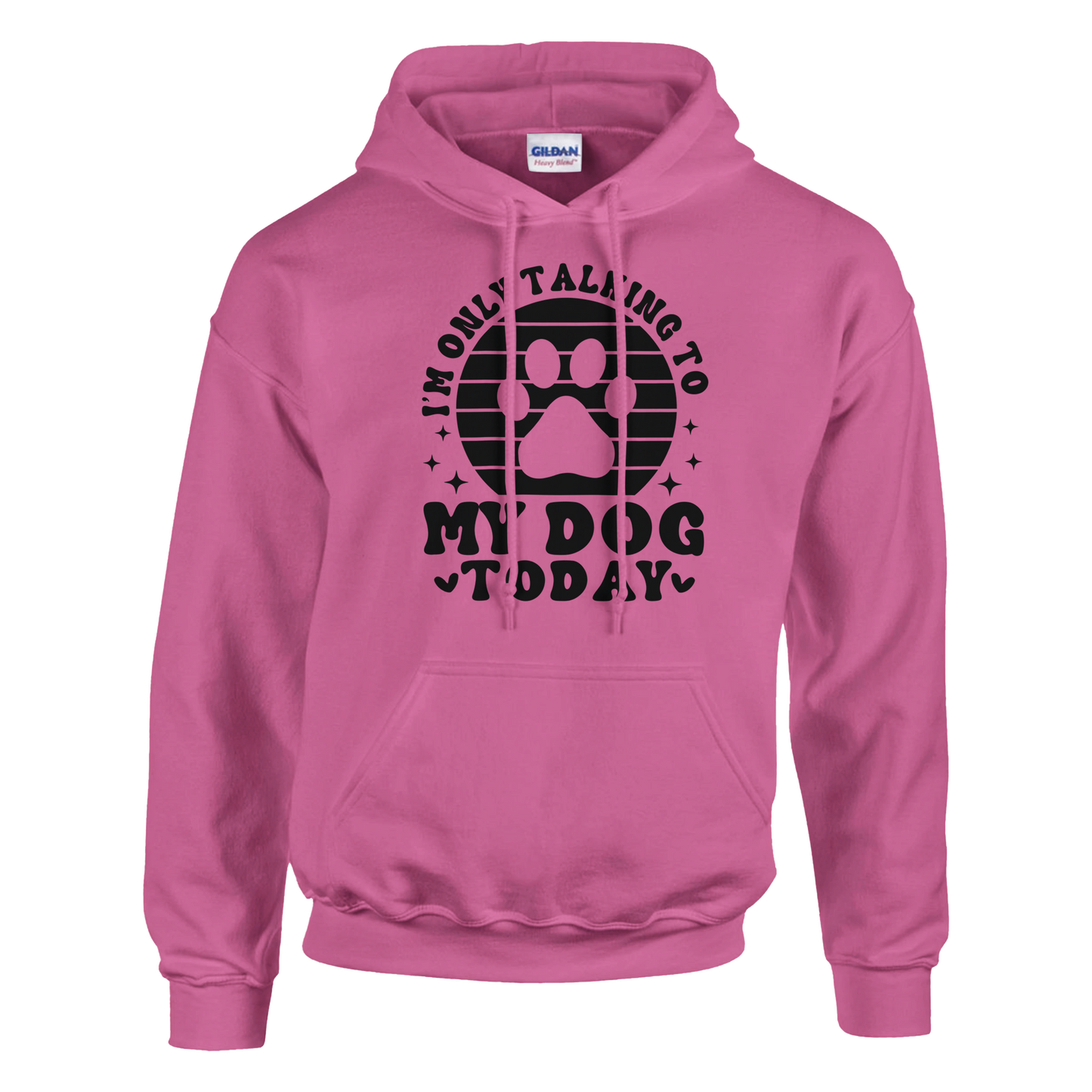 I'm Only Talking to My Dog Today Pullover Hoodie