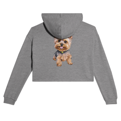 d7614b23-c6b4-4ac6-ac56-ede2b2922d01